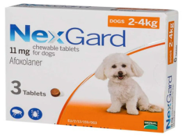 NEXGARD PLAIN FOR PLAIN FOR DOG ORANGE 2-4Kg. (3 chew/box)