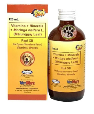 PAPI OB (PRE AND POST NATAL SUPPLEMENT) (120ml)